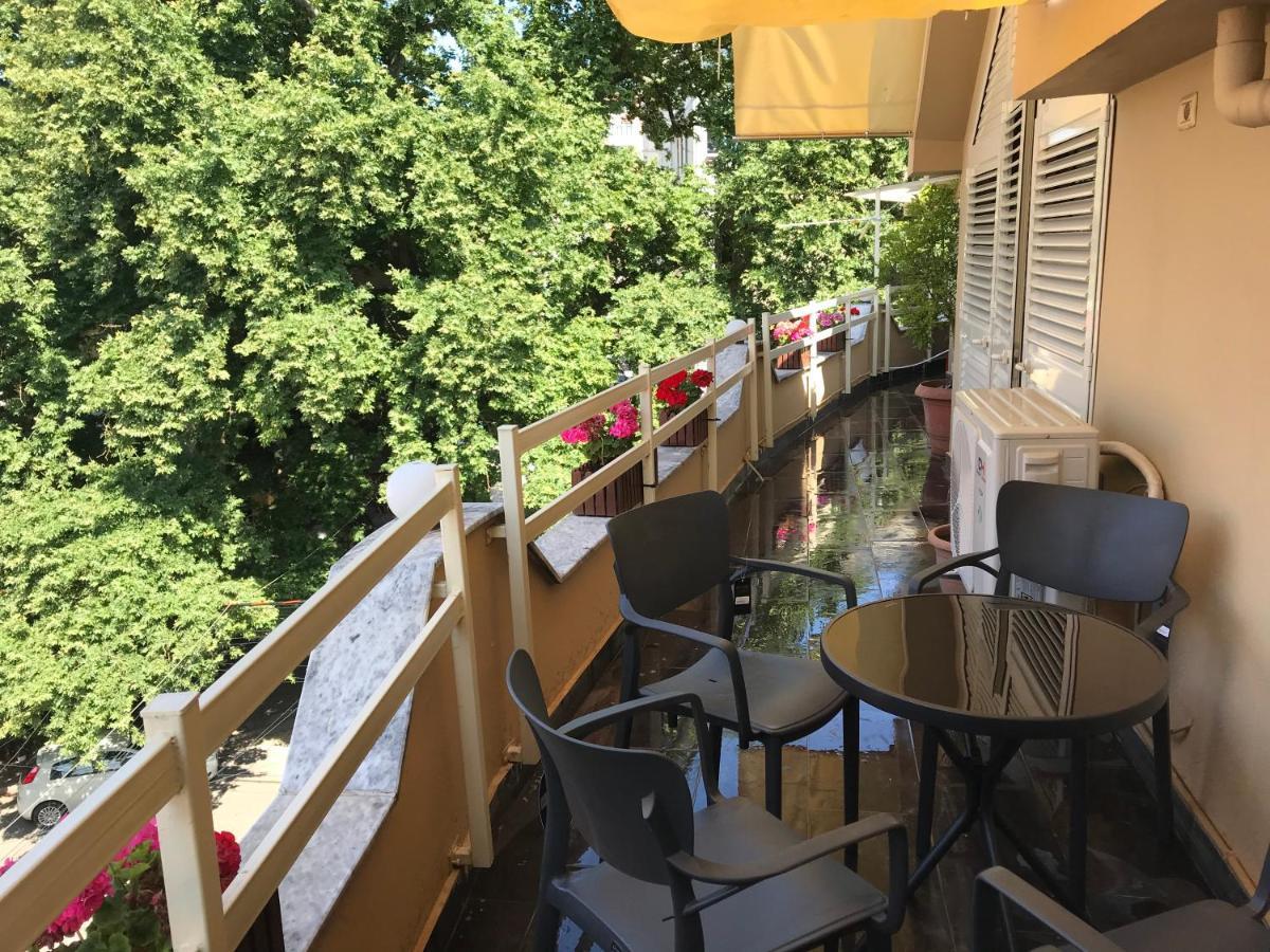 Maison Centre Apartament Szkodra