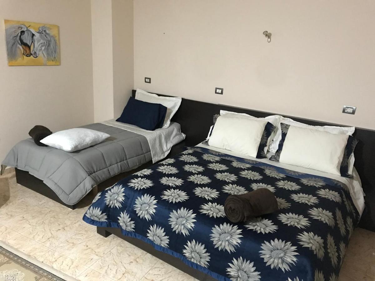 Maison Centre Appartement Shkodër