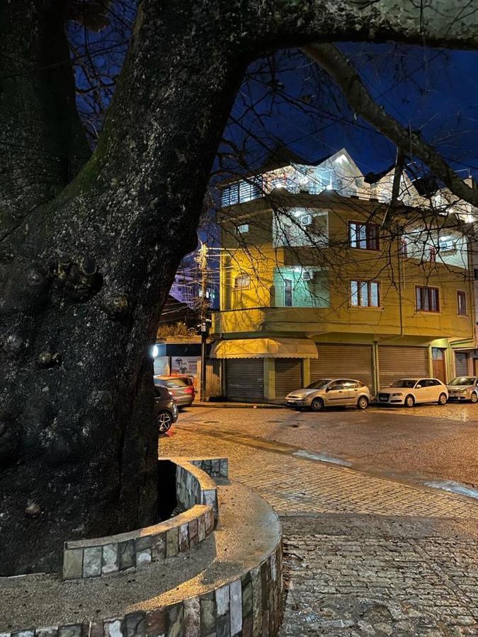 Maison Centre Shkodër